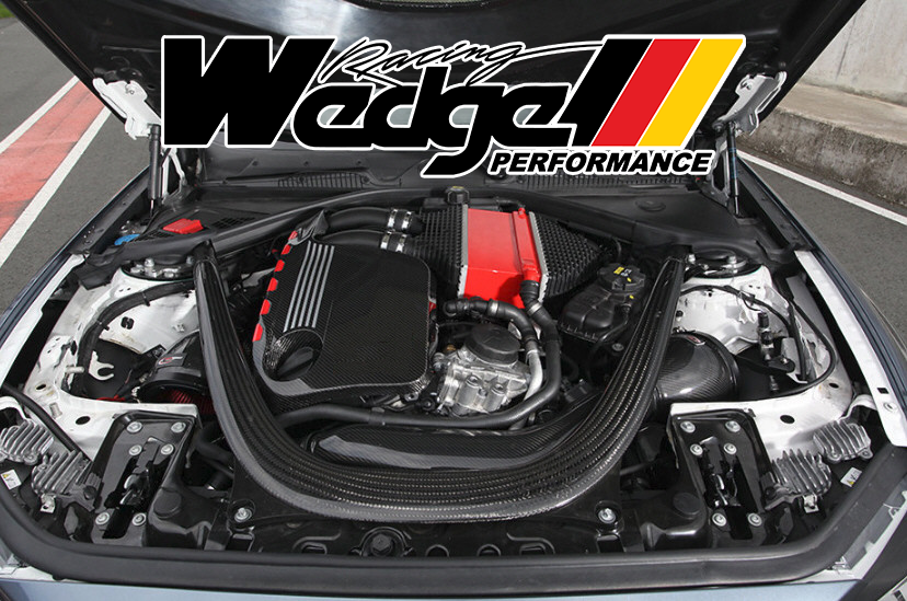 Wedge Performance S55 eTune